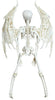 GP24887 – Halloween Skelett Flügel Dekoration – Größe: Standard