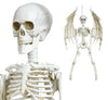 GP24887 – Halloween Skelett Flügel Dekoration – Größe: Standard
