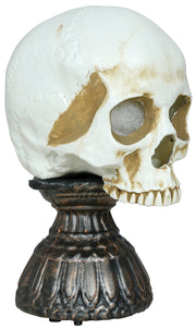 Skelett Schädel Halloween Deko Grusel Objekt, Bild 4