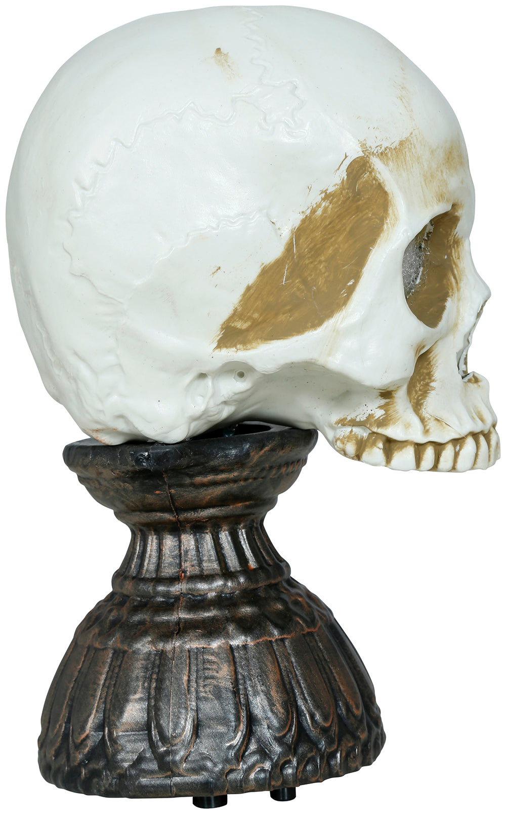 GP24931 – Skelett Schädel Halloween Deko Grusel Objekt – Größe: Standard