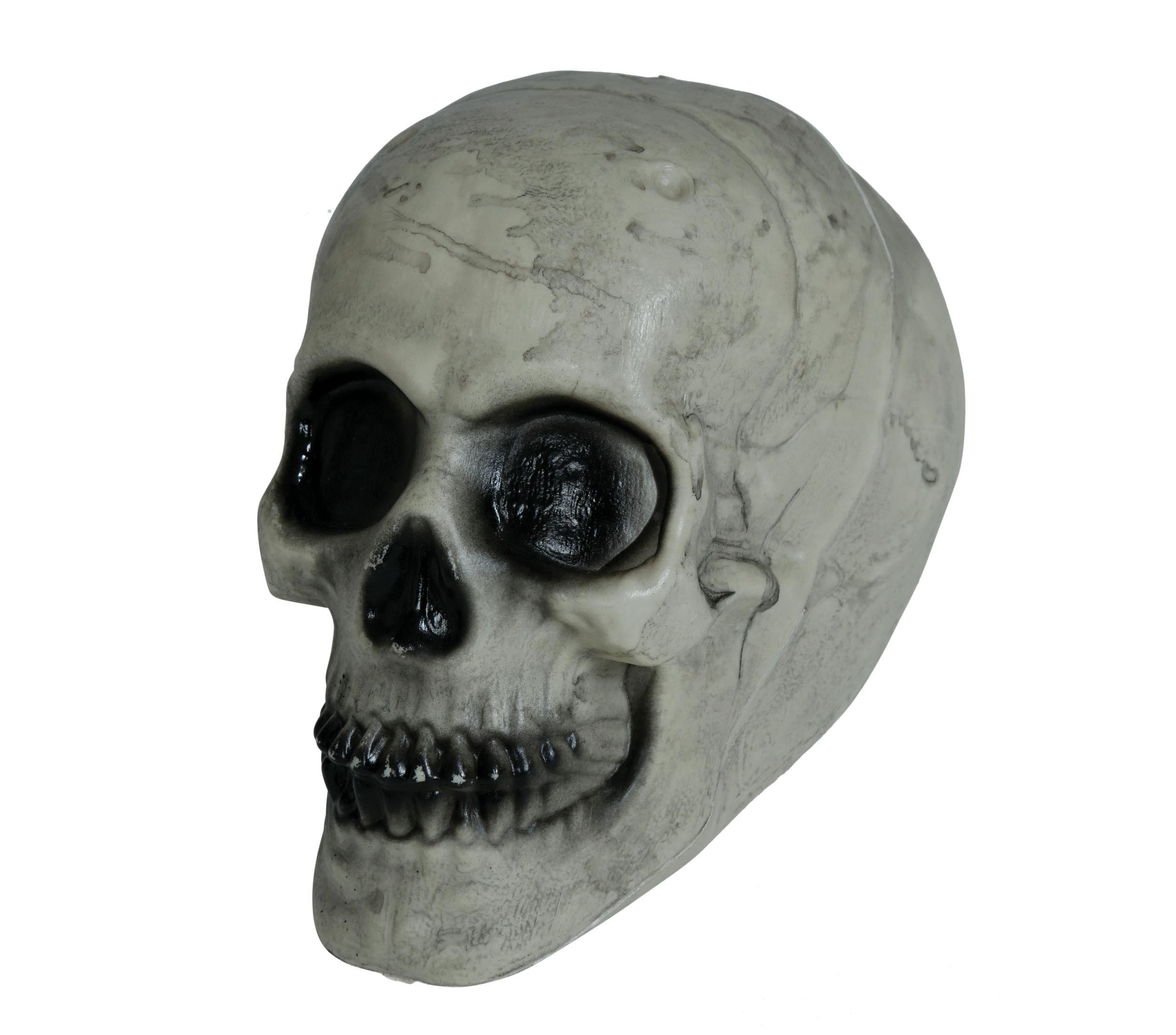 GP24935 – Skelett Schädel Halloween Dekoration – Farbe: Weiß