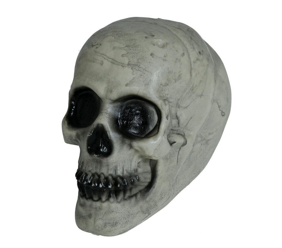 Skelett Schädel Halloween Dekoration