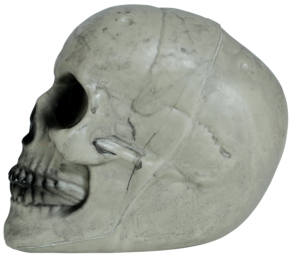 GP24935 – Skelett Schädel Halloween Dekoration – Farbe: Weiß