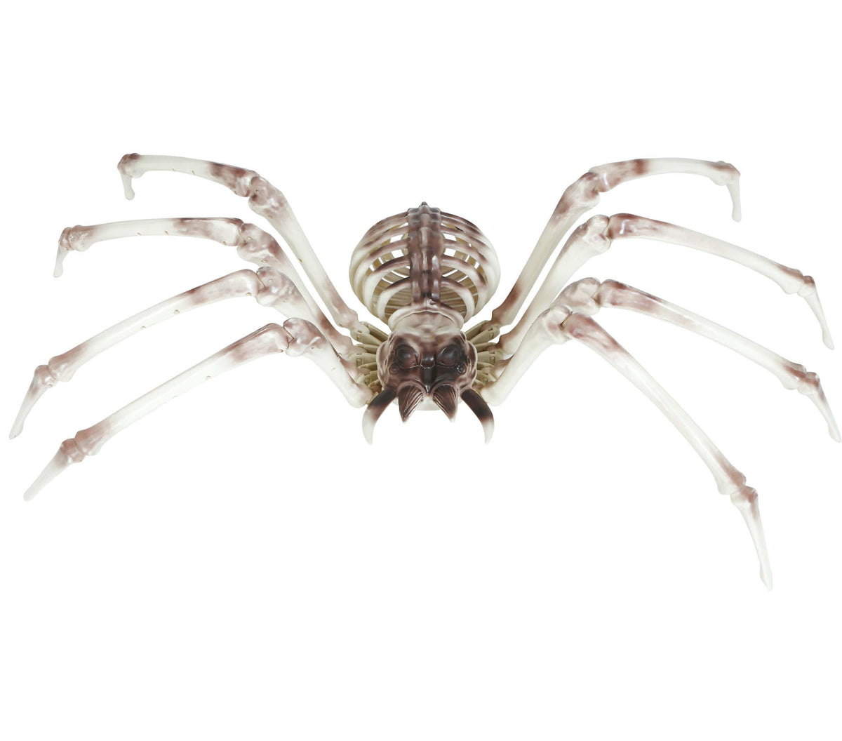 GP24976 – Halloween Spinnen Skelett Dekoration – Farbe: Weiß