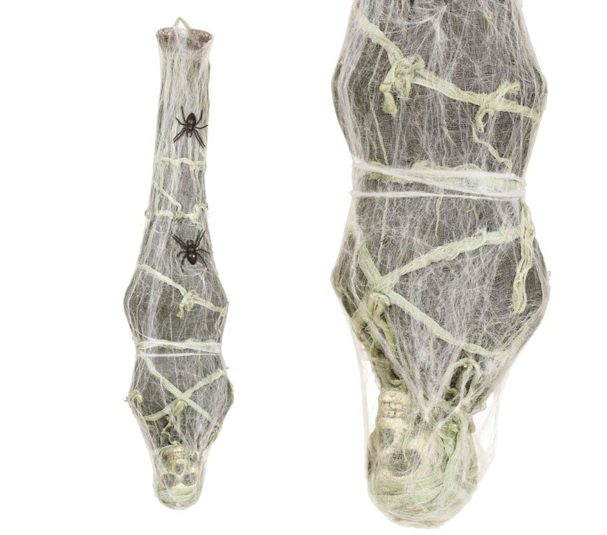 Skelett Figur Hängend Spinnennetz