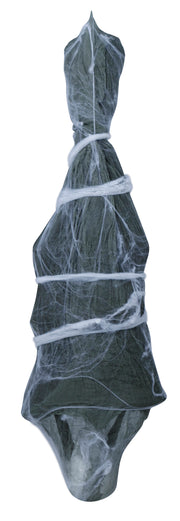 Skelett Figur Hängend Spinnennetz, Bild 5