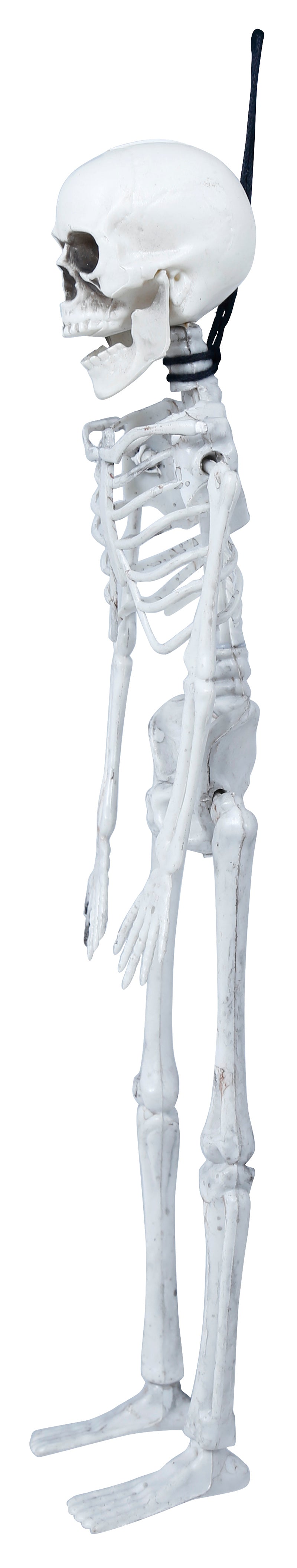 GP26042 – Skelett Dekoration Halloween Grusel – Farbe: Beige