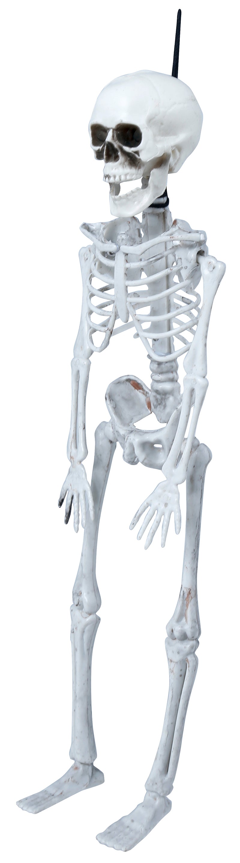 GP26042 – Skelett Dekoration Halloween Grusel – Farbe: Beige