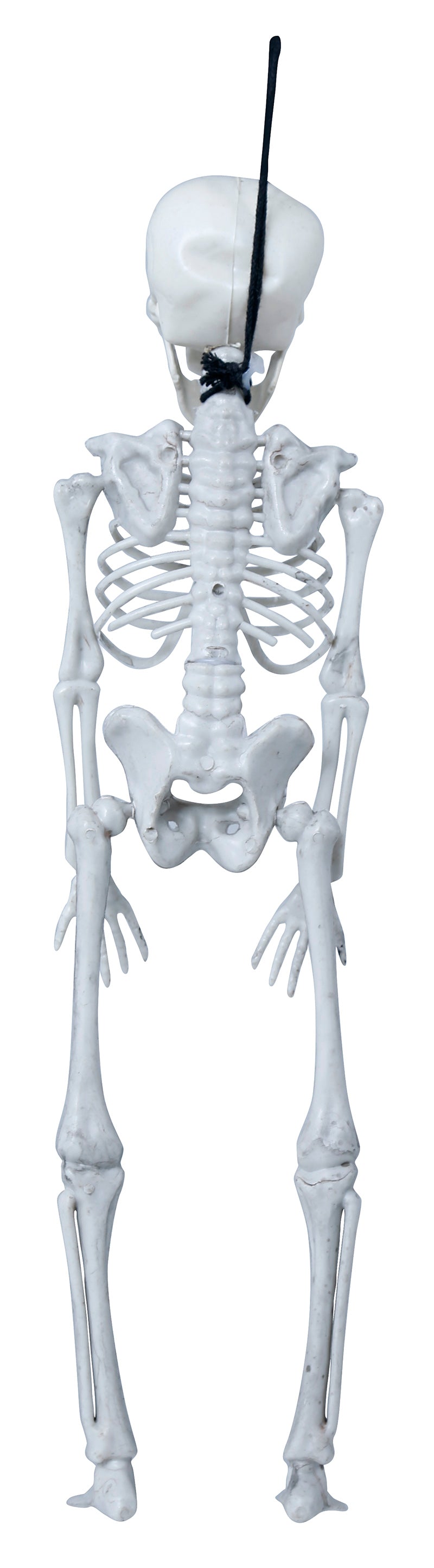 GP26042 – Skelett Dekoration Halloween Grusel – Farbe: Beige