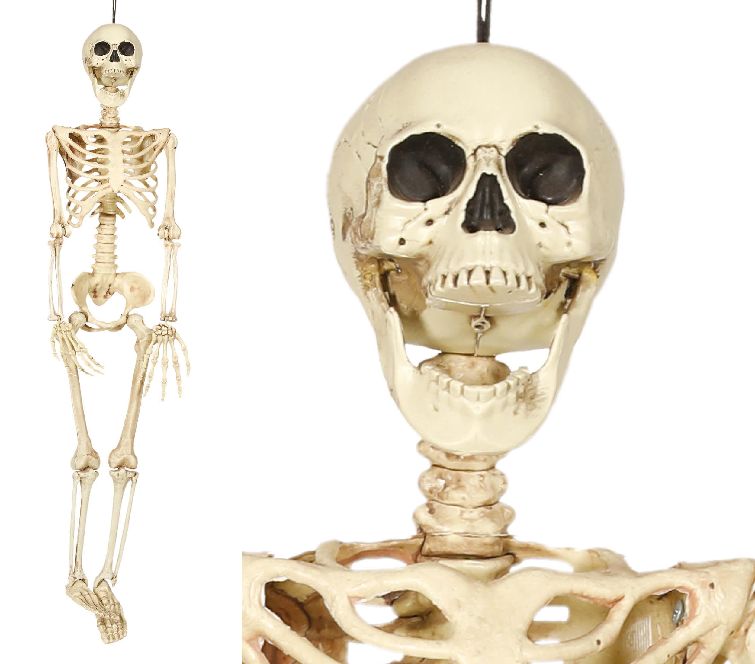 GP26043 – Skelett Grusel Dekoration Halloween – Farbe: Beige
