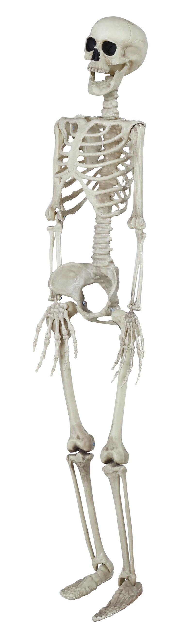 GP26043 – Skelett Grusel Dekoration Halloween – Farbe: Beige