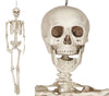 GP26044 – Skelett Halloween Dekoration – Farbe: Beige