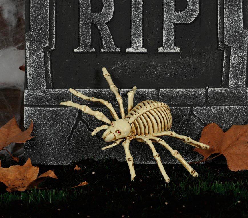 GP26083 – Skelett Spinne Halloween Dekoration – Farbe: Beige