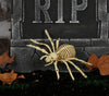 GP26083 – Skelett Spinne Halloween Dekoration – Farbe: Beige