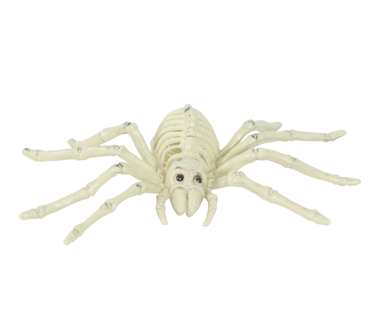 GP26083 – Skelett Spinne Halloween Dekoration – Farbe: Beige