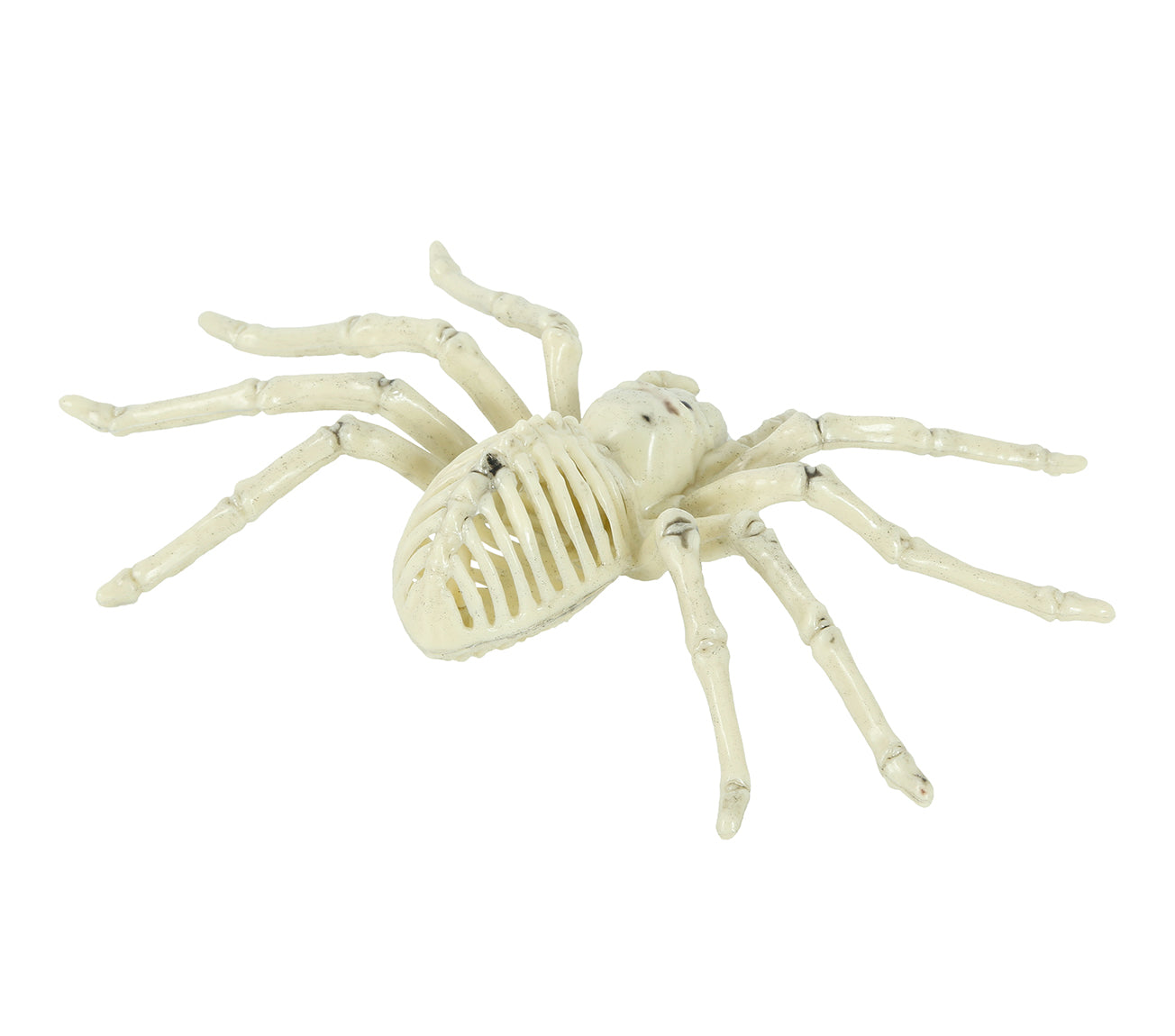 GP26083 – Skelett Spinne Halloween Dekoration – Farbe: Beige