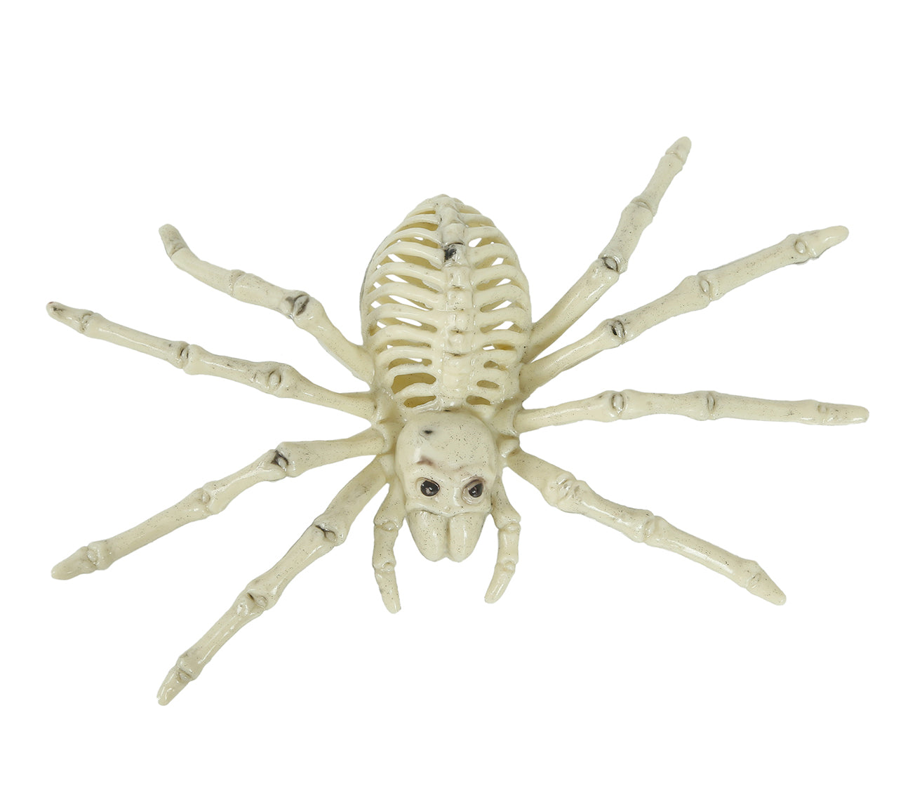 GP26083 – Skelett Spinne Halloween Dekoration – Farbe: Beige