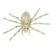Spinnenskelett 24 cm Halloween Deko, Bild 6