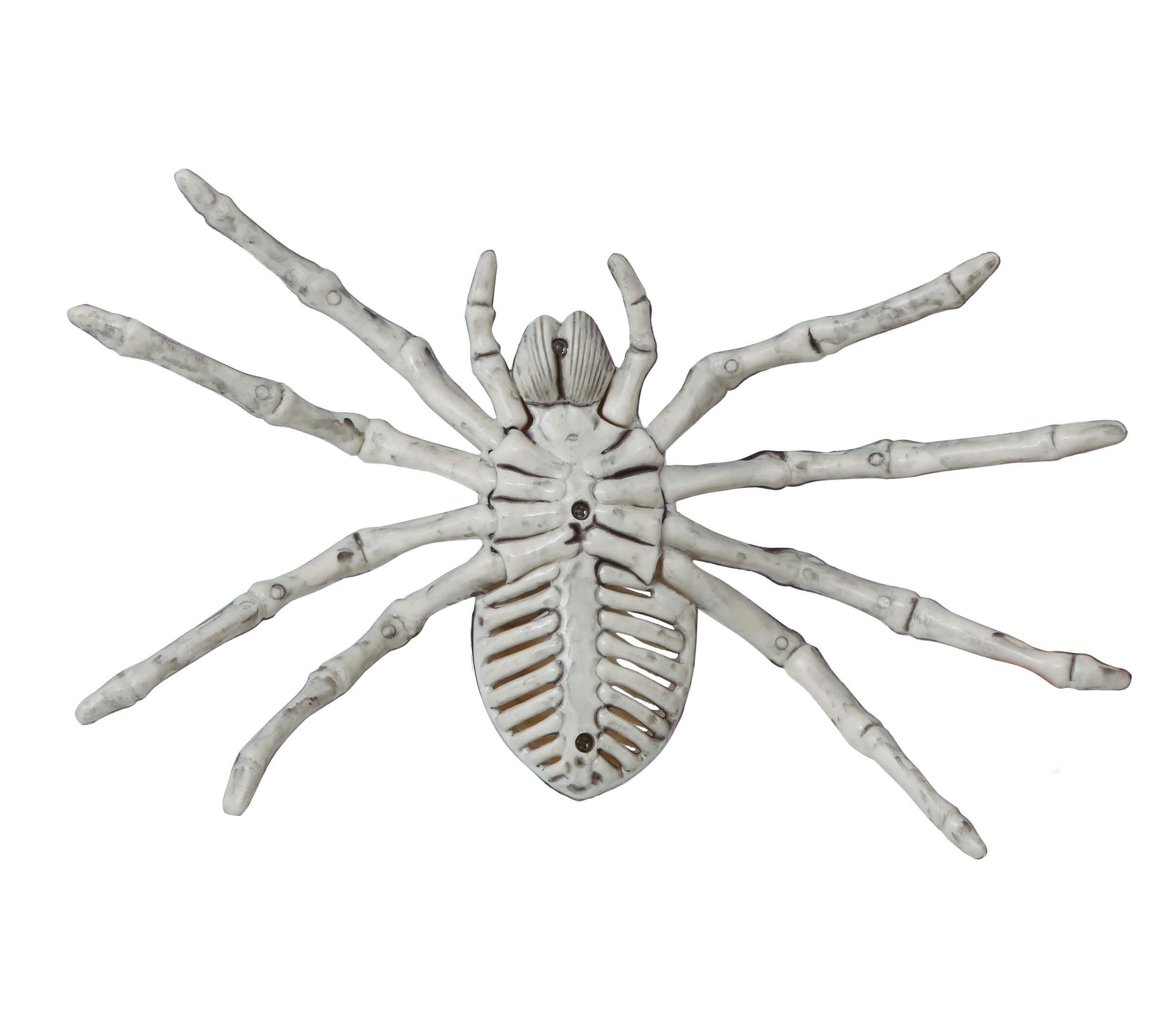GP26083 – Skelett Spinne Halloween Dekoration – Farbe: Beige