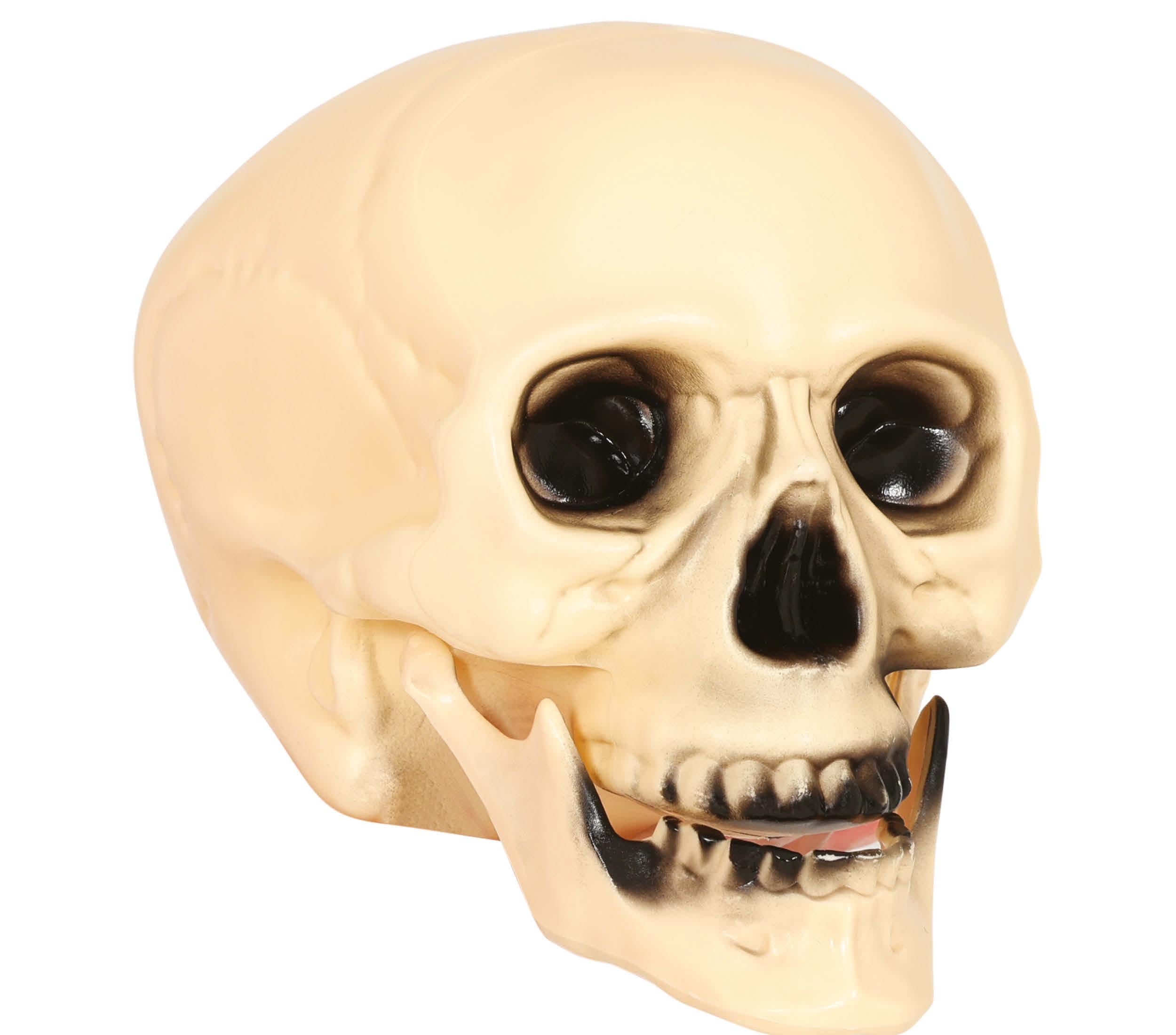 GP26174 – Skelett Schädel Horror Deko Totenkopf – Farbe: Beige