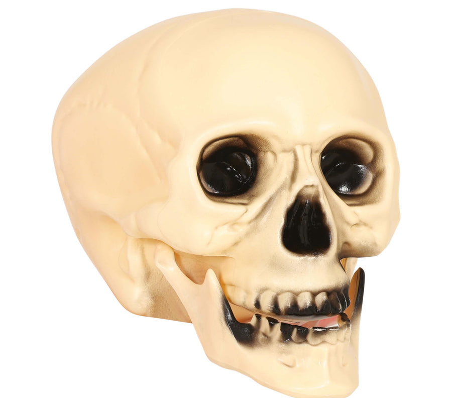 Totenkopf 20 cm Halloween Deko