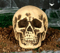 Totenkopf Deko 22 cm Schädel Halloween