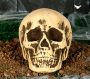 Totenkopf Deko 22 cm Schädel Halloween, Bild 1