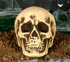 GP26276 – Skelett Totenkopf Halloween Deko Grusel – Farbe: Beige
