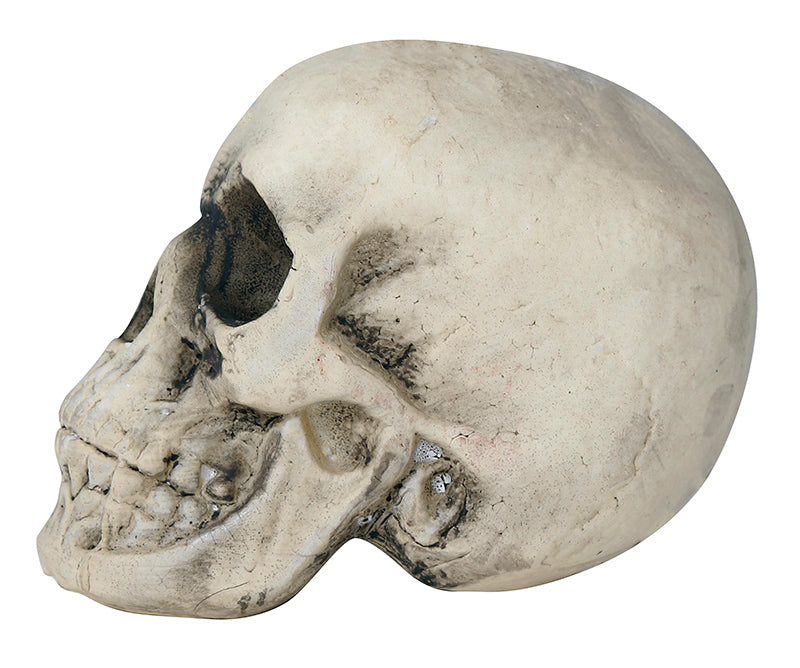 GP26276 – Skelett Totenkopf Halloween Deko Grusel – Farbe: Beige, Ansicht 2