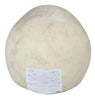 GP26276 – Skelett Totenkopf Halloween Deko Grusel – Farbe: Beige