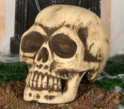 Totenkopf Deko 32 cm großer Schädel, Bild 1