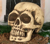 GP26278 – Skelett Schädel Horror Dekoration Halloween – Farbe: Beige