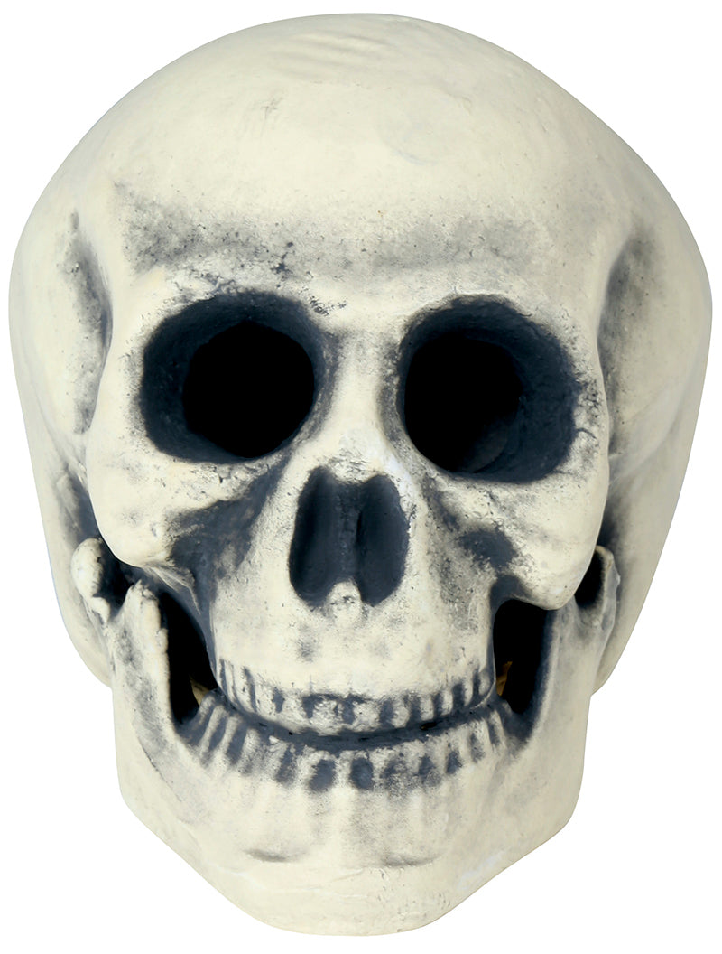 GP26278 – Skelett Schädel Horror Dekoration Halloween – Farbe: Beige, Ansicht 2