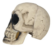 Totenkopf Deko 32 cm großer Schädel, Bild 3