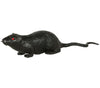 GP26291 – Tier Für Halloween Dunkle Gruselige – Farbe: Schwarz