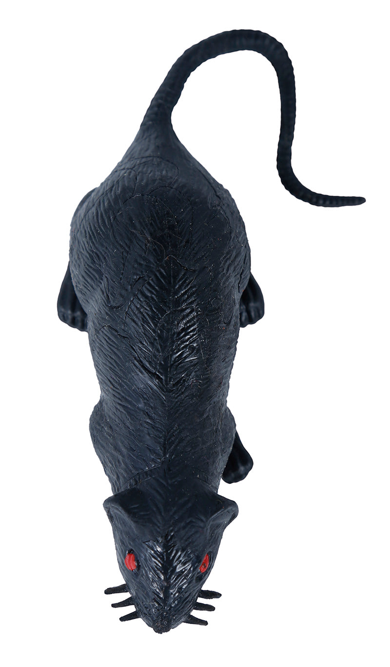GP26291 – Tier Für Halloween Dunkle Gruselige – Farbe: Schwarz
