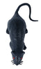 GP26291 – Tier Für Halloween Dunkle Gruselige – Farbe: Schwarz