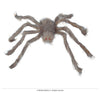 GP26295 – Tierische Gruselspinne Halloween Deko – Farbe: Grau
