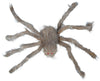 GP26295 – Tierische Gruselspinne Halloween Deko – Farbe: Grau