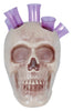 GP26599 – Skelett Schädel Shotgläser Halloween – Farbe: Beige