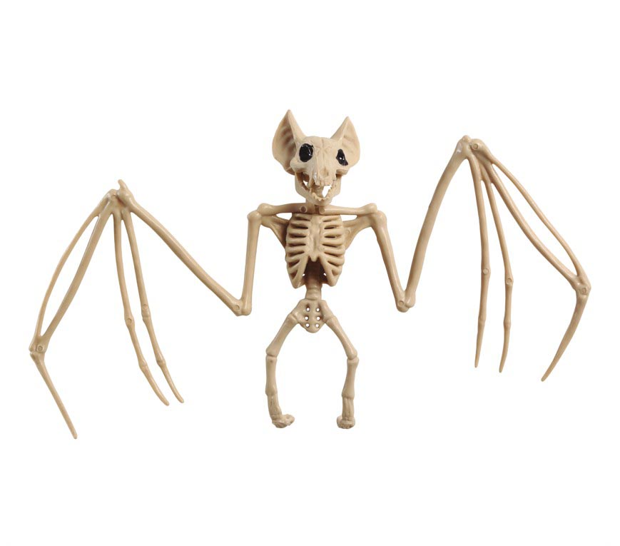 GP26769 – Tierische Skelett Deko Halloween Fledermaus – Farbe: Beige