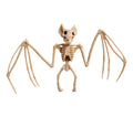 Fledermaus Skelett 30 cm Halloween Deko