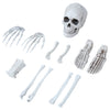 GP26772 – Skelett Halloween Dekoration Grusel – Farbe: Beige