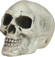 Totenkopf Deko Set 6 Stück 8 cm, Bild 4