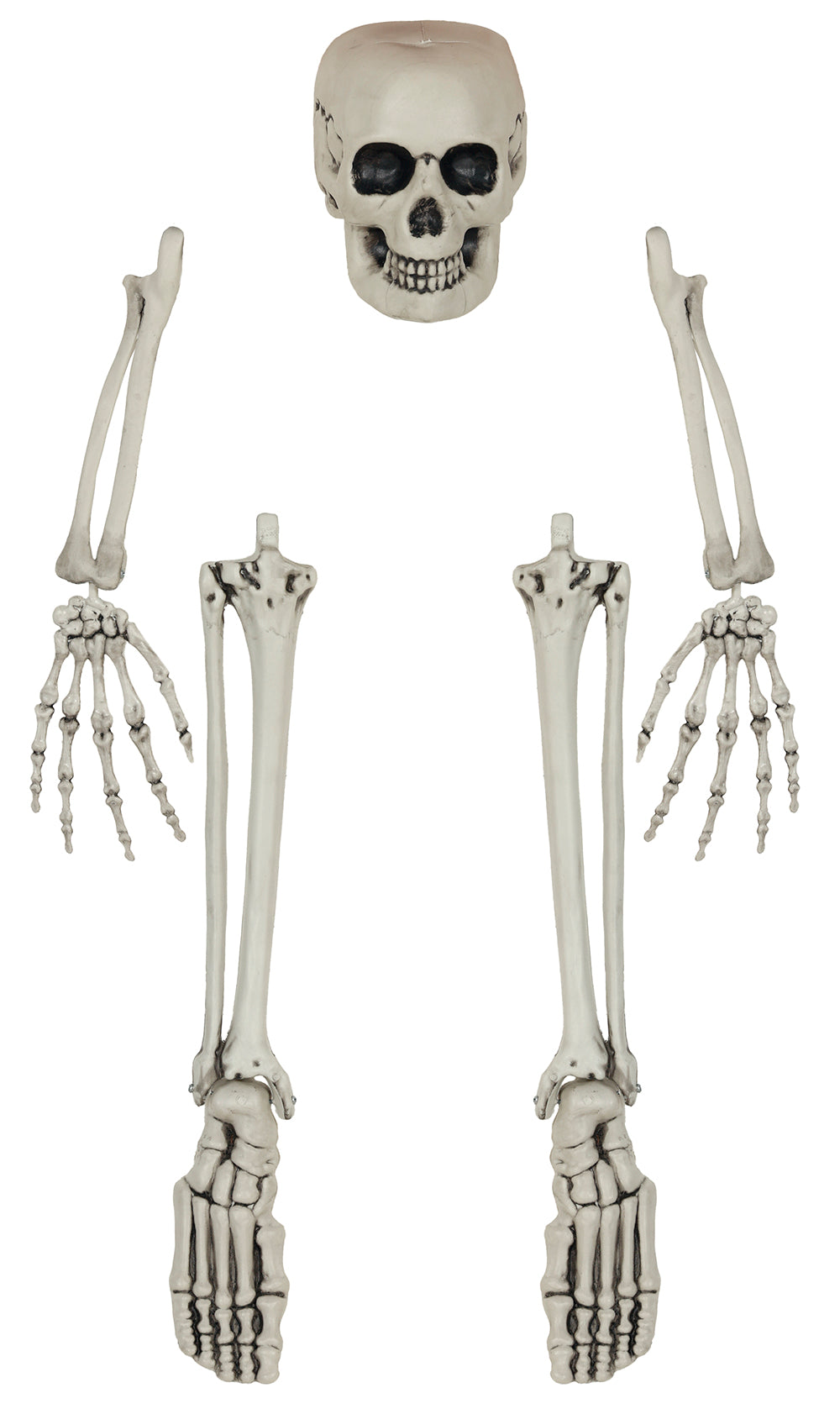 GP26979 – Skelett Knochen Set Halloween – Farbe: Weiß
