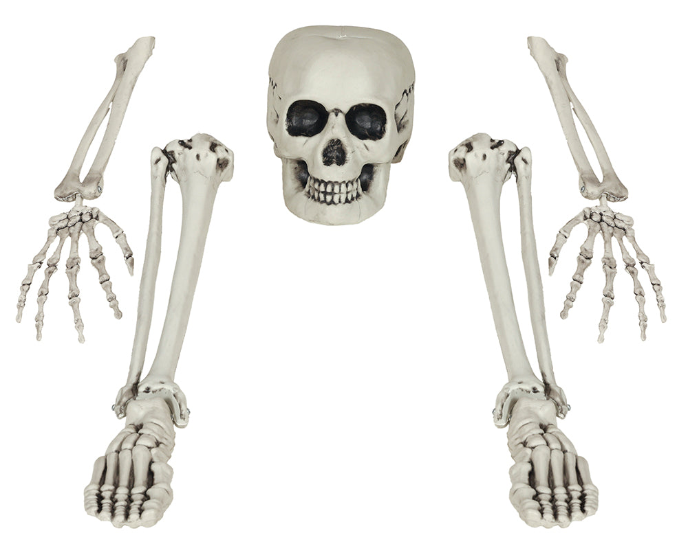 GP26979 – Skelett Knochen Set Halloween – Farbe: Weiß