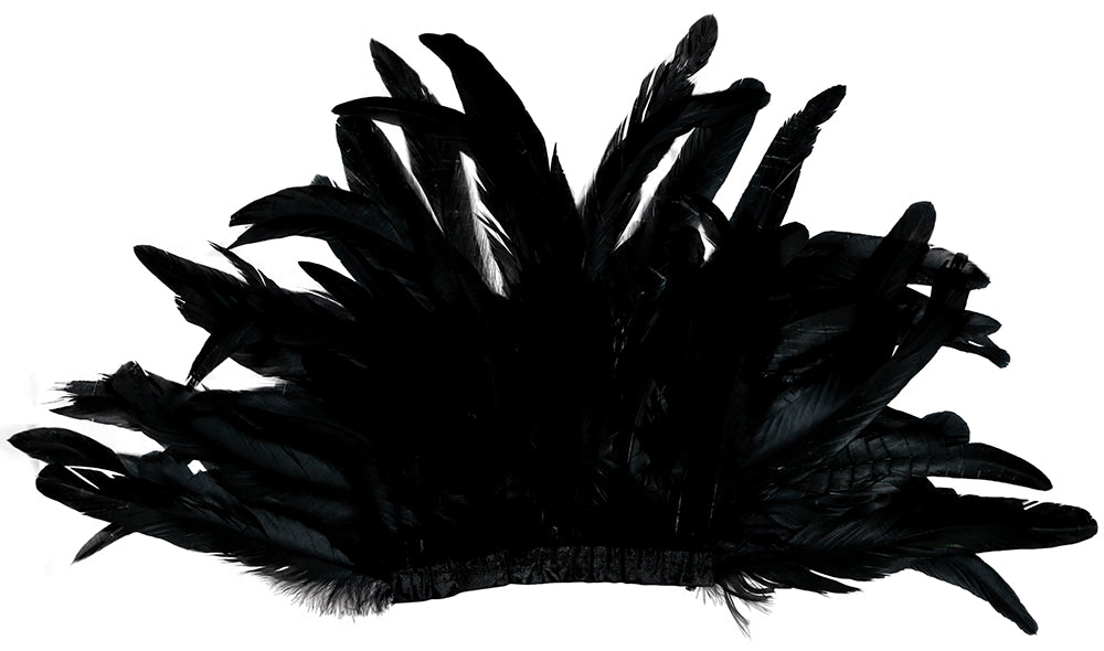 GP27212 – Indischer Federkragen Schwarze Schultern – Farbe: Schwarz