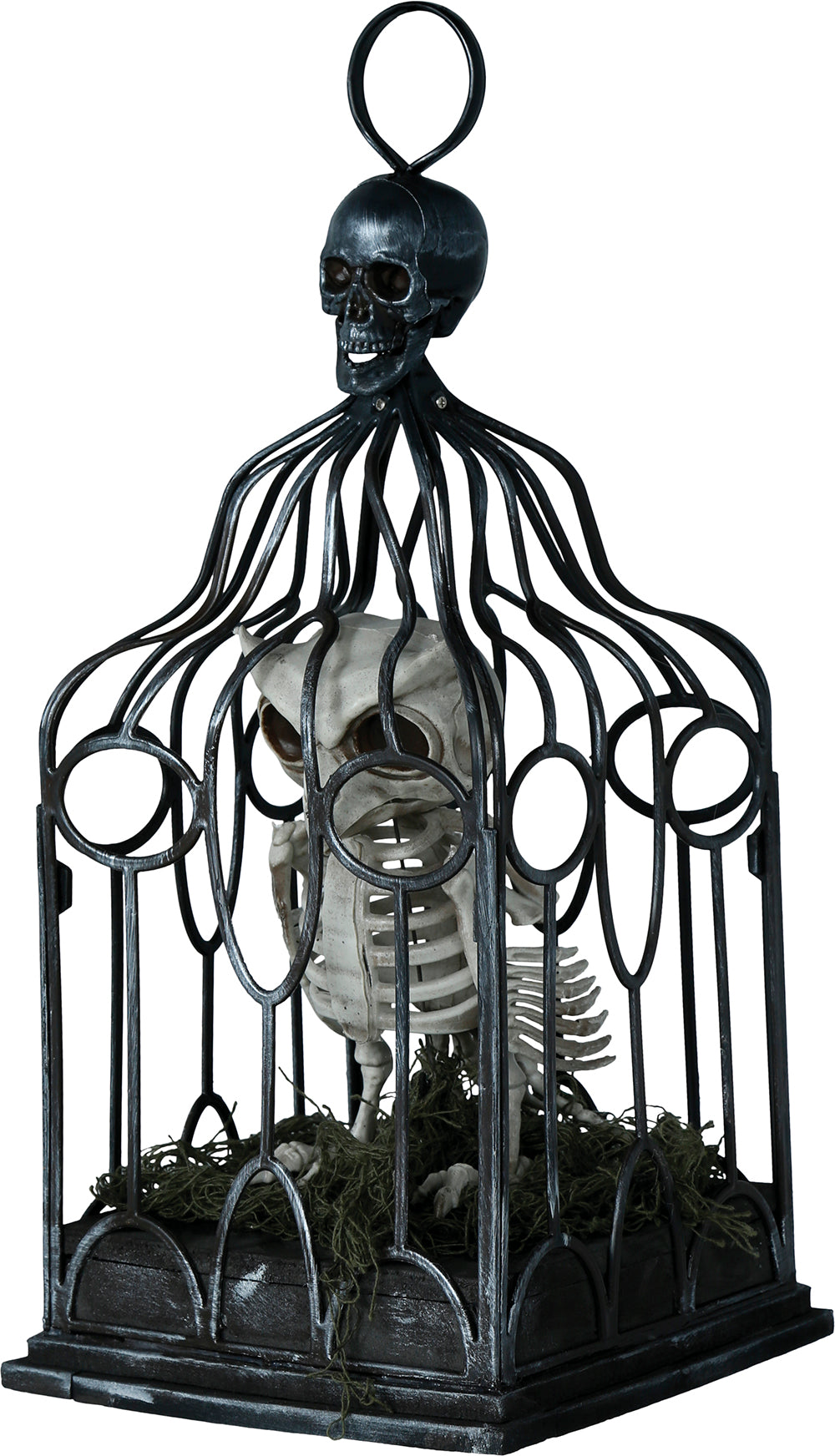 GP29051 – Skelett Eule Halloween Dekoration Kreativ – Farbe: Beige
