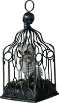 Skelett Eule Halloween Dekoration Kreativ