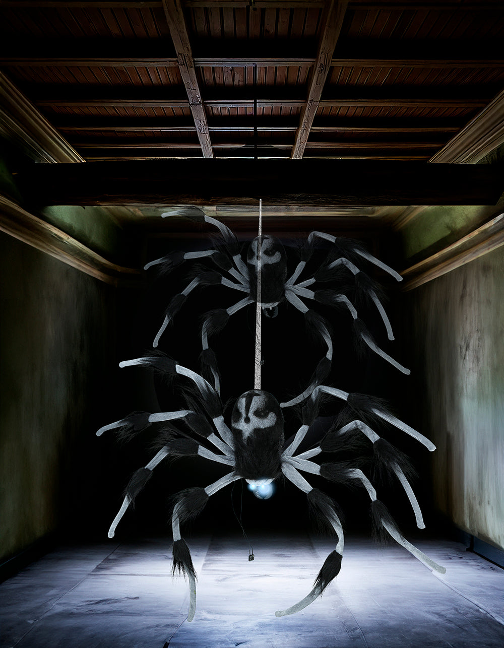 GP29052 – Spinne Halloween Dekoration Animierte – Farbe: Grau